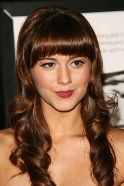 AFI fest 2006 açılış gecesi 