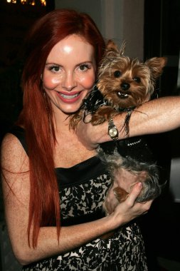 Phoebe fiyat ve köpek henry