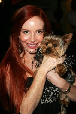 Phoebe fiyat ve köpek henry