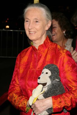 jules verne macera film festivali açılış gecesi gala