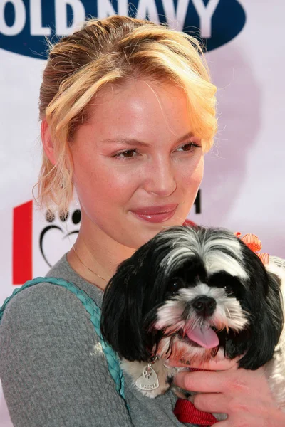 Katherine Heigl en la Old Navy Nationwide Search for a New Canine Mascot. Franklin Canyon Park, Beverly Hills, CA. 04-29-06 — Foto de Stock