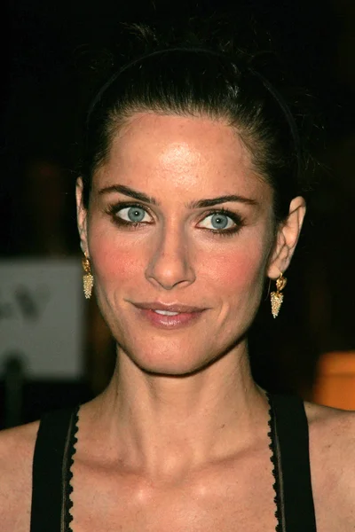 Amanda Peet — Stock Photo, Image