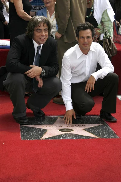 Benicio Del Toro and Mark Ruffalo — Stock Photo, Image