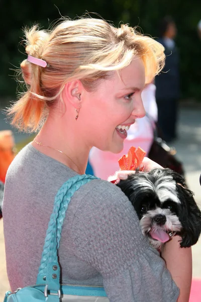Katherine Heigl dell'Old Navy in cerca di una nuova mascotte canina. Franklin Canyon Park, Beverly Hills, CA. 04-29-06 — Foto Stock