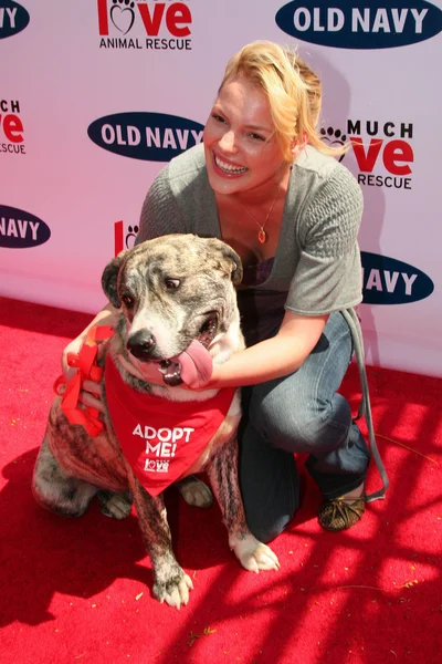 Katherine heigl på gamla marinblå rikstäckande sökandet efter en ny hund maskot. Franklin canyon park, beverly hills, ca. 04-29-06 — Stockfoto