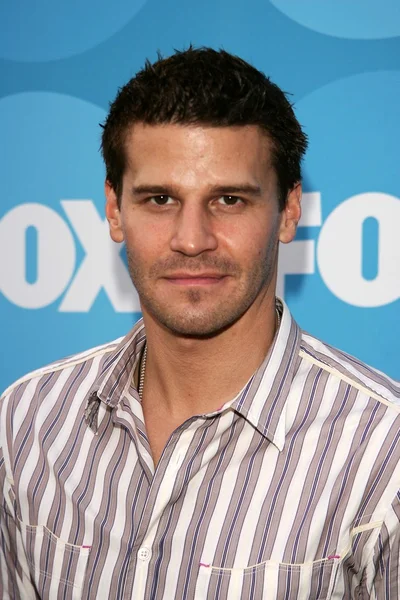 David Boreanaz — Stock Photo, Image