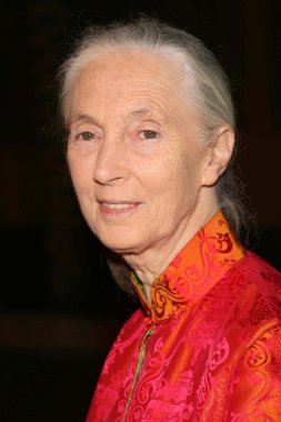 jules verne macera film festivali açılış gecesi gala