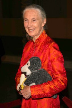 jules verne macera film festivali açılış gecesi gala