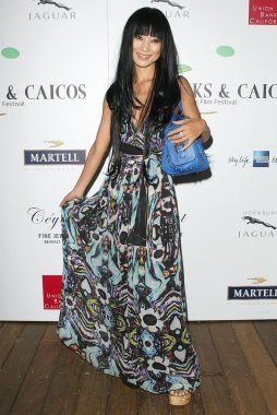 2 yıllık turks ve caicos uluslararası film festivali