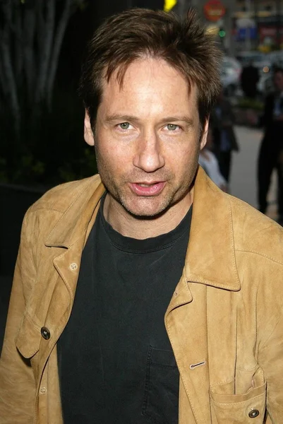 David Duchovny — Stockfoto