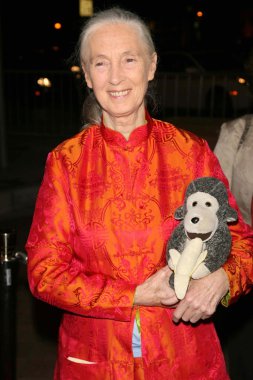 jules verne macera film festivali açılış gecesi gala