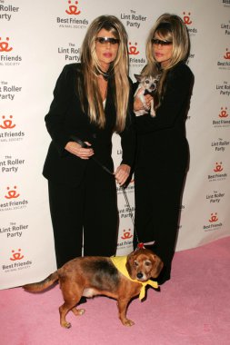 Barbie İkizlerBarbie δίδυμα