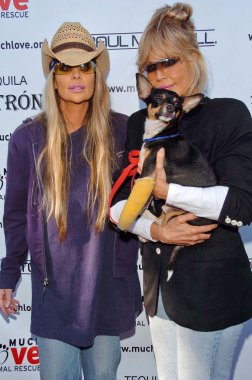 Barbie İkizlerBarbie δίδυμα