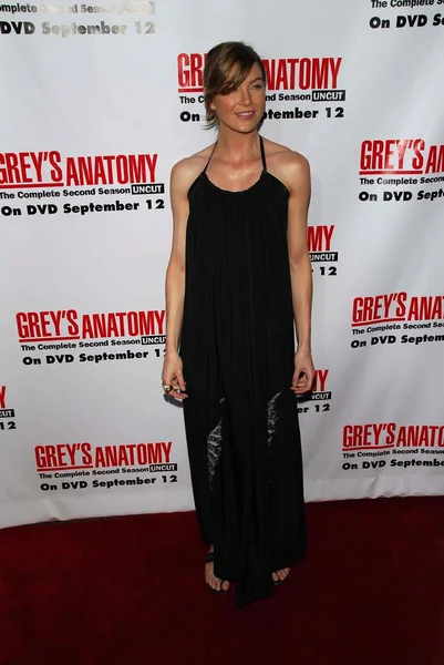 "Grey's Anatomy"Sezon 2 Dvd Launch Party — Stok fotoğraf