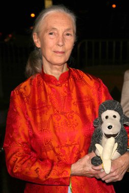 jules verne macera film festivali açılış gecesi gala