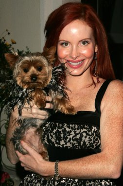 Phoebe fiyat ve köpek henry