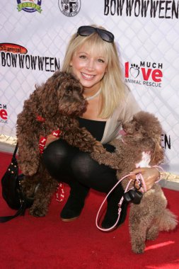 Dog.com tarafından sunulan 5 yıllık bowwowween fayda