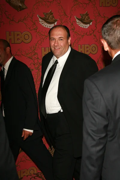 2006 HBO Emmy After Party — Stock Photo, Image