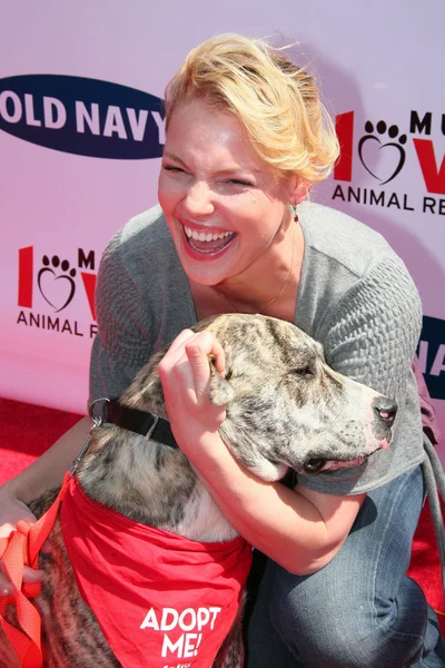 Katherine Heigl en la Old Navy Nationwide Search for a New Canine Mascot. Franklin Canyon Park, Beverly Hills, CA. 04-29-06 — Foto de Stock