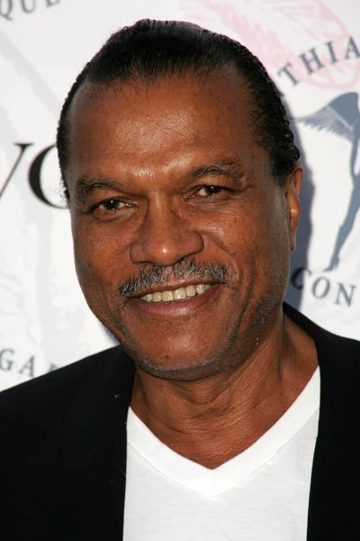 Billy Dee Williams — Stock fotografie