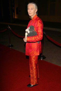 jules verne macera film festivali açılış gecesi gala