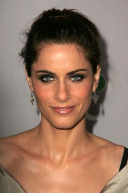 Amanda Peet