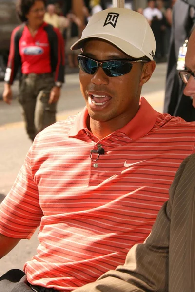 Tiger Woods — Stock Photo, Image