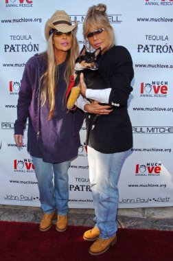 Barbie İkizlerBarbie δίδυμα