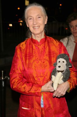 jules verne macera film festivali açılış gecesi gala