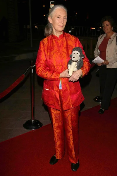 jules verne macera film festivali açılış gecesi gala