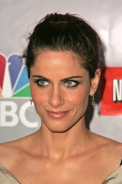 Amanda Peet — Stock Photo, Image