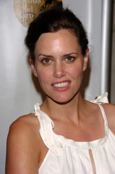 Ione Skye — Stockfoto