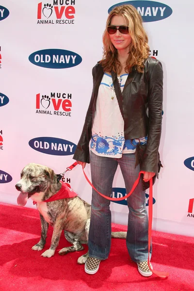 Old Navy Nationwide Ricerca di Nuova Mascotte Canine — Foto Stock