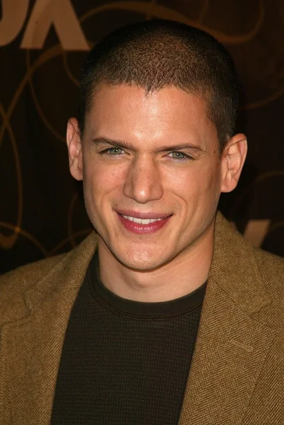 Wentworth Miller — Stock Photo, Image