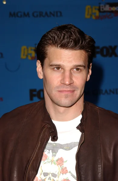 David Boreanaz — Stock Photo, Image