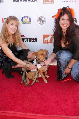 Julia verdin fileena bahris ve somun anahtarı