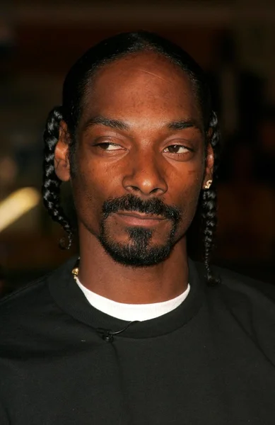 Snoop Dogg — Stock Photo, Image