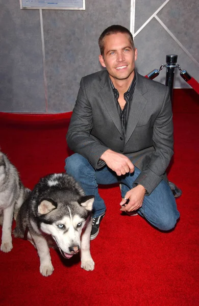 Paul Walker — Stockfoto