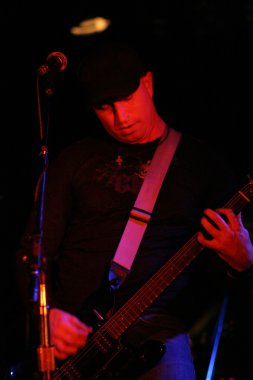 stereocell todd riffel