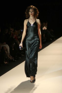 modeli