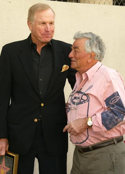 Wayne rogers och peter falk — Stockfoto