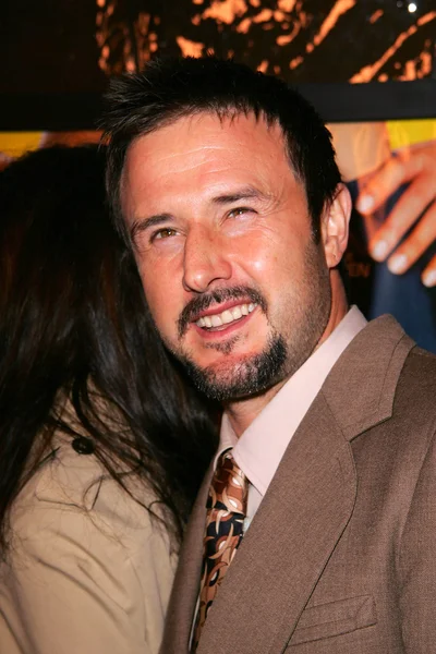 David Arquette — Stockfoto