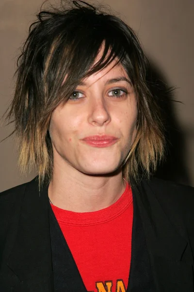 Katherine Moennig på Los Angeles Premiere of The L Word, der er vært for kampagnen for menneskerettigheder og showtime. Avalon Hollywood, Hollywood og CA. Tilsætningsstoffets sammensætning: - Stock-foto