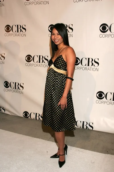 CBS, Paramount, UPN, Showtime and King World's 2006 TCA Party — Stock Photo, Image