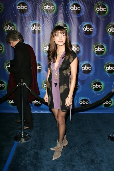 2006 Winter in Abc Tca press Tour-party — Stockfoto