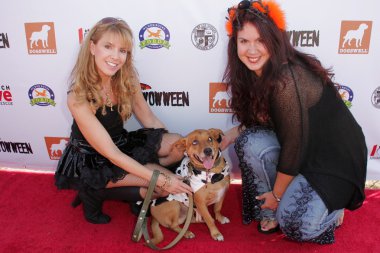 Julia verdin fileena bahris ve somun anahtarı