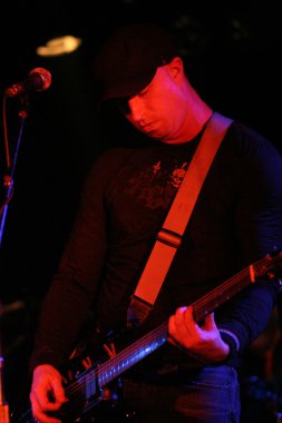 stereocell todd riffel