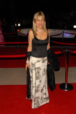 17 yıllık palm springs uluslararası film festivali gala