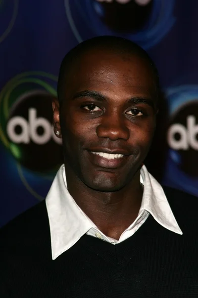 2006 ABC TCA Winter Press Tour Party — Stock Photo, Image