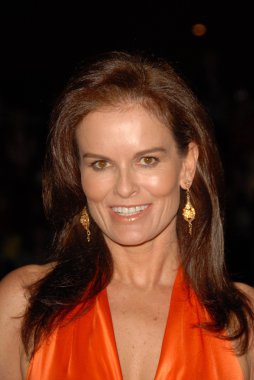 17 yıllık palm springs uluslararası film festivali gala